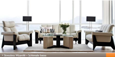 Divano Ekornes Wizard